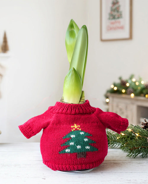 Christmas Tree Sweater Amaryllis with Pink Flower